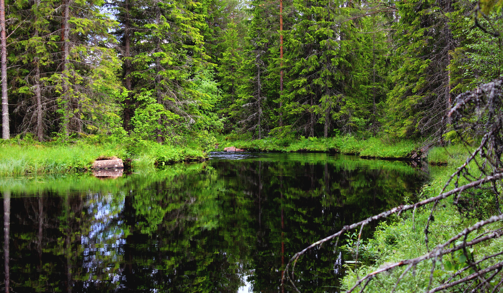 Sevärdheter och turistmål i Älvdalen, Dalarna | Älvdalens Camping